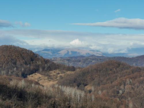 Cabanuta Fara Fite Cabanuta Fara Fite