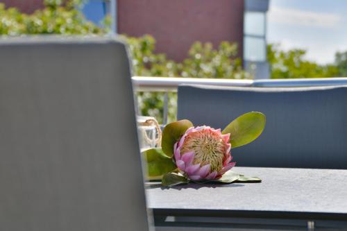 Apartment with Terrace image 1