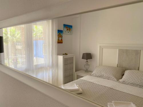 Apartment image 5