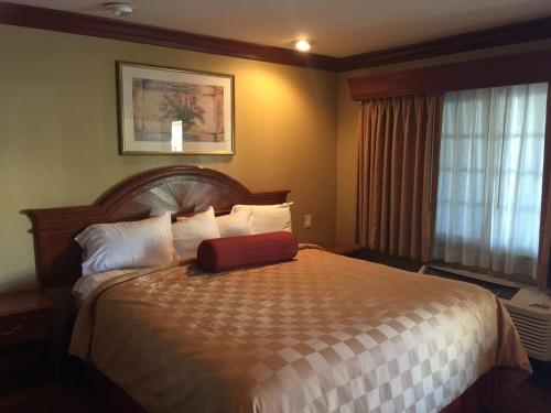 1 king bed
