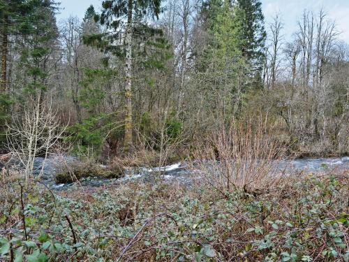 Creag Darach Cottage