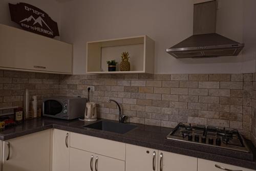 Cozinha, Step To Hermon Big appartment in Majdal Shams