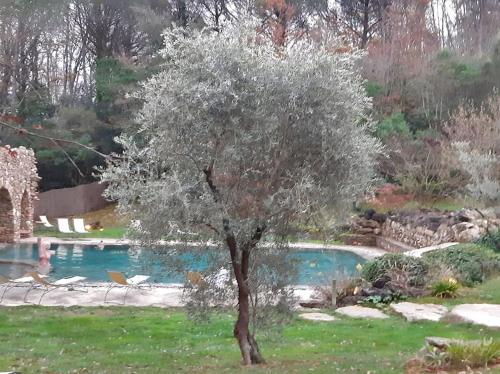 gite Da Clara in Pomarance