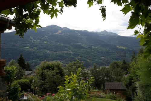 Garden, Studio avec solarium near Ouvrage Chatelard