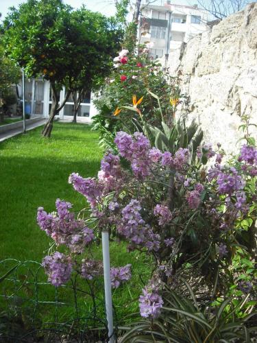Hotel Mira D'Aire, Porto (foto 10)