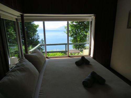 Bocalago in Lago Ranco