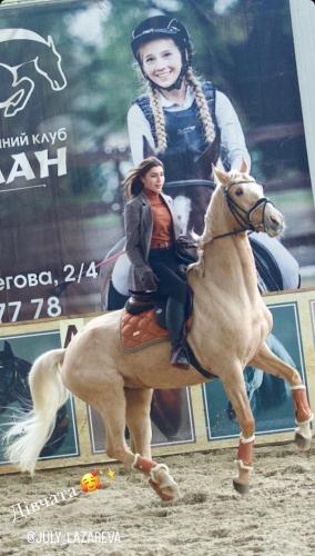 Tamerlan - image 6