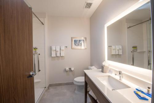 Holiday Inn Express & Suites - Houston Westchase - Westheimer