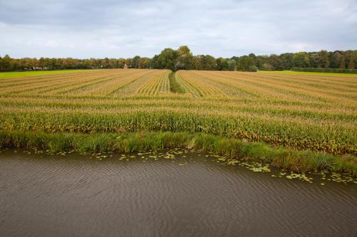 Het Wapen van Harmelen - image 10