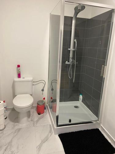 Modern Apartment Third Floor, Брюссель (фото 7)