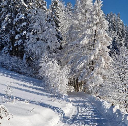 Góralska Chata Bystre z 1863r