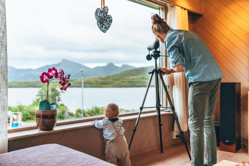 Midt i Lofoten - image 3