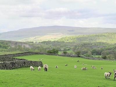 Grisedale Coach House