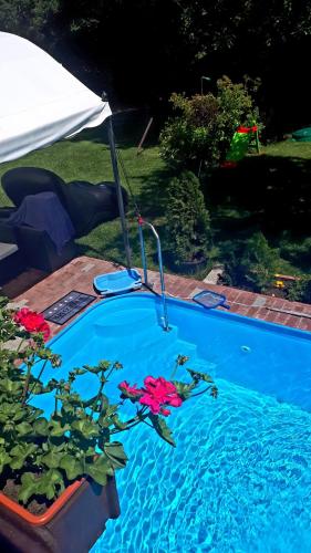 세들레츠 프르치체 Chalupa, 3x apartmány, 11 lůžek. (Chalupa, 3x apartmany, 11 luzek.) 4성급 게스트하우스 로비