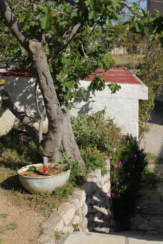 Apartments by the sea Pag - 6273 - image 5