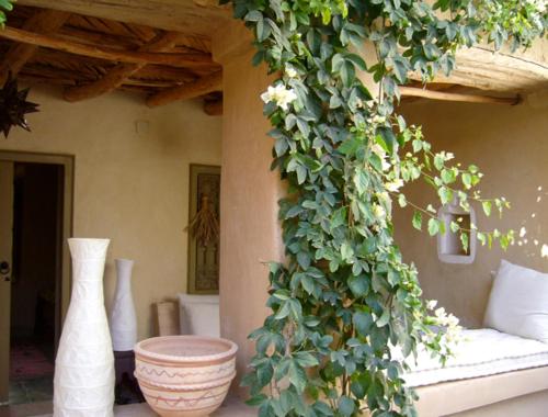 Dar Zahia in Taroudant