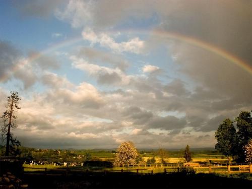 The Byre