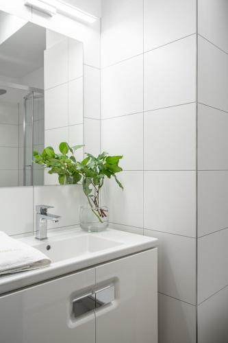 Aparthotel Solskiego Wrocław, Wrocław (photo 6)