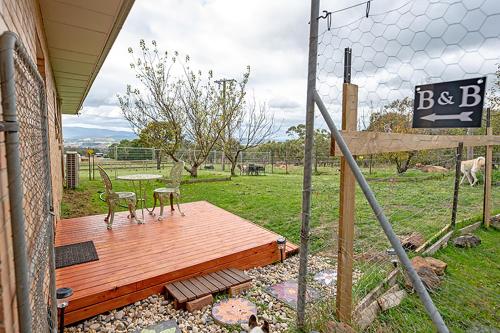 Заобикаляща среда, Galahad's Animal Sanctuary B&B in Gisborne