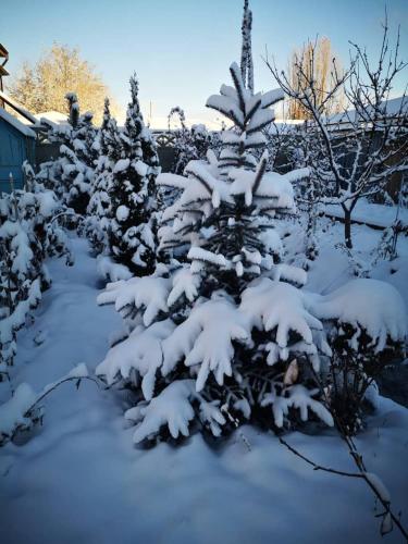 Загородный коттедж (Загородныи коттедж) in Besh Kungei