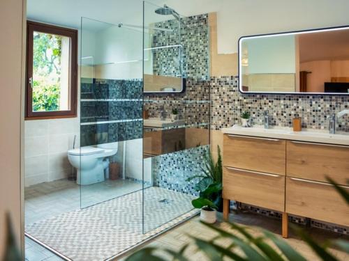 Shower, HOTEL DES DAUPHINS in Other