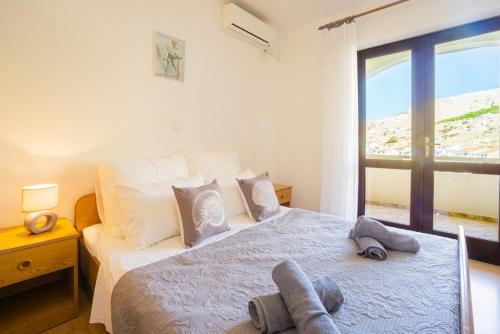 Apartment and Room Bacic
