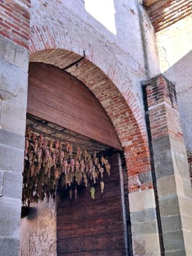 Stanza Allegra Soave