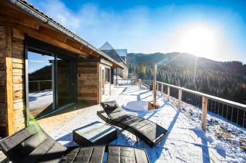 Seisen Almchalet in Murau, Österreich