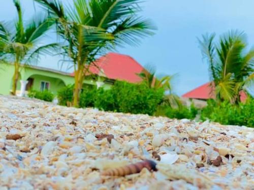 Bosofet Beach and Creek Lodge