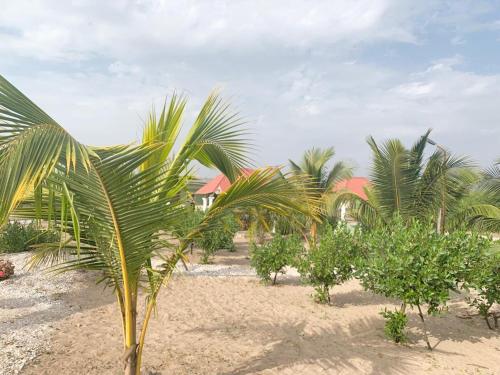 Bosofet Beach and Creek Lodge