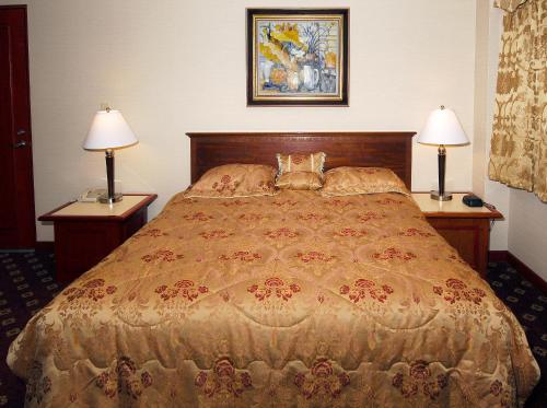 Metro Plaza Hotel, Los Angeles (photo 7)