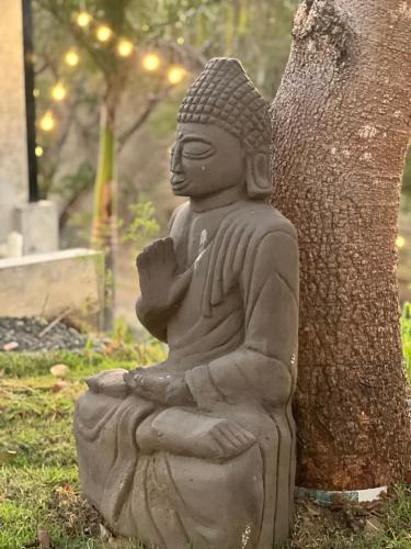 419966117 Alaya Yoga & Surf & Retreat