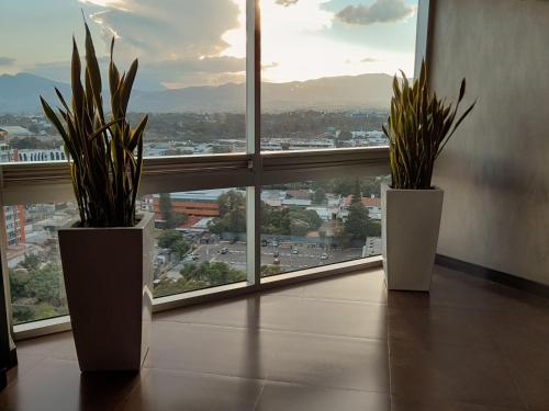 419975831 Holiday Inn Guatemala by IHG