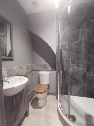 Shared house close to Liverpool city center & LFC/EFC, Liverpool (photo 7)