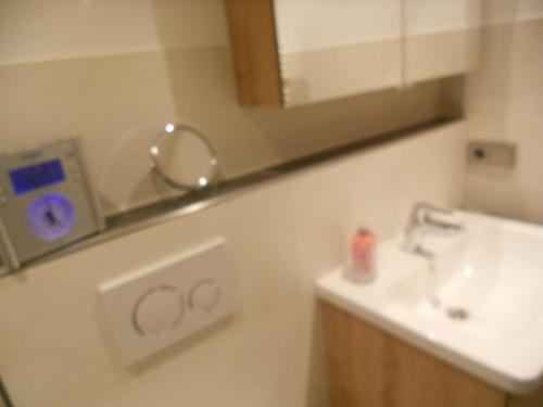 Ferienwohnung Lederer - image 14