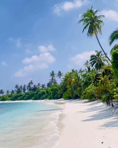 Beach, Stay Mikado in Thaa Atoll