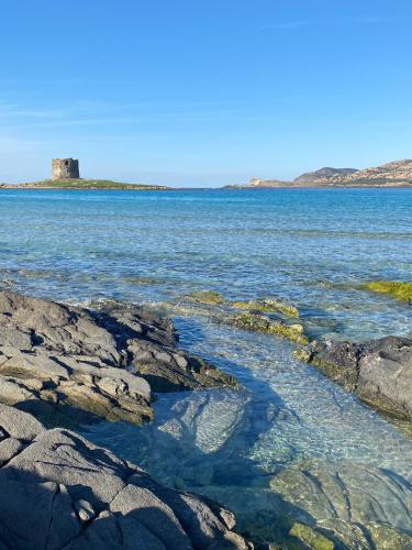 "Da Roberto" gîte à louer Villa Sirena