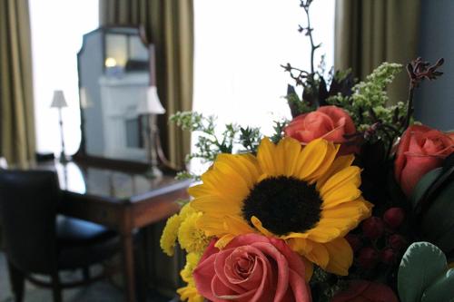The Priory Hotel - image 4