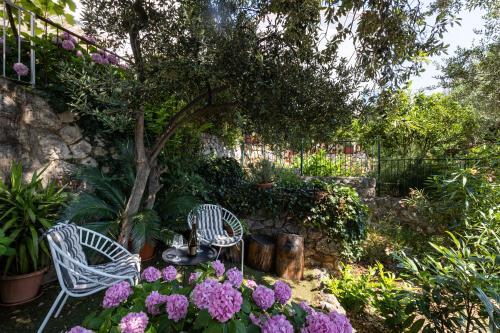 Studio and Room Lena