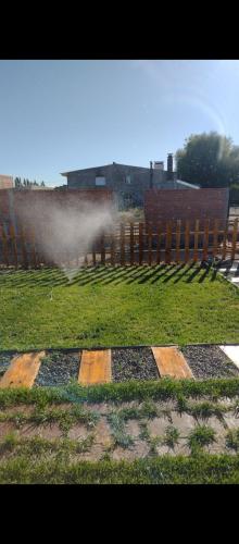 정원, Laguna de los Cisnes in 페리토 모레노