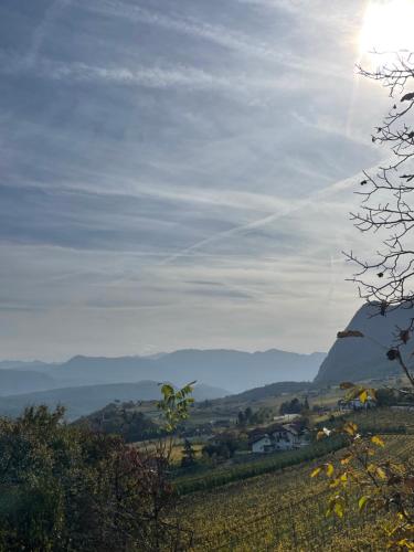 Kreuzstein Bed&Breakfast 5