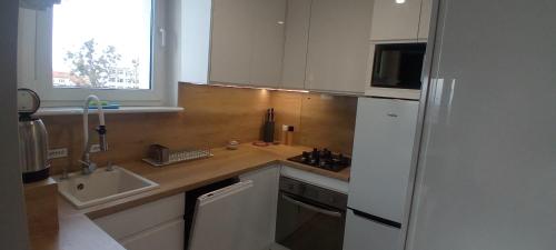 Cozinha, Mieszkanie, apartament z przepięknym widokiem, blisko starówki, plaży (Mieszkanie, apartament z przepieknym widokiem, blisko starowki, plazy) in Przerobka