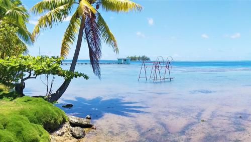 RAIATEA - Fare Te Hanatua, Tevaitoa (fotografie 2)