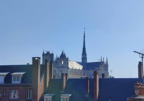 Hypercentre : vue cathédrale - verrière - cosy Hypercentre : vue cathédrale - verrière - cosy