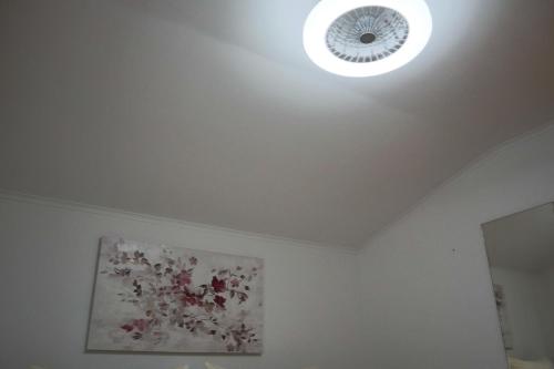 One-Bedroom Apartment image 10