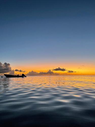 สภาพแวดล้อมโดยรอบ, Sunset Appart, T2 avec vue mer et plage à 1 km (Sunset Appart, T2 avec vue mer et plage a 1 km) in เลอการ์เบ