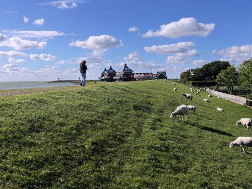  Landal Oan e Poel, Unterkunft in Terherne