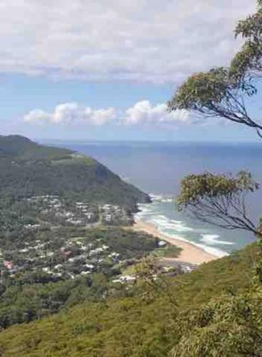 Beach to Bush in Stanwell Park