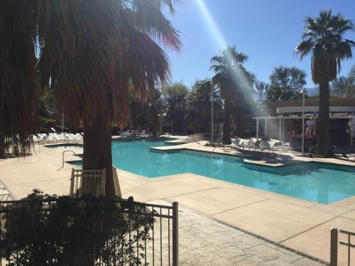 游泳池, Agua Caliente Resort Casino Spa Rancho Mirage in 蘭喬米拉(CA)