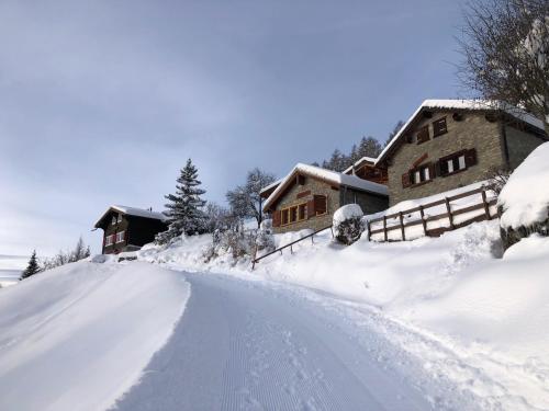 Tiny House facing the Alps - Ski in, Ski out